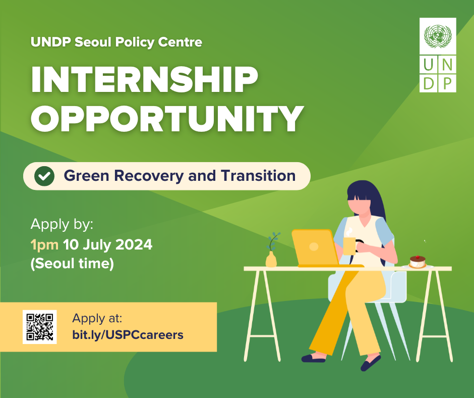 UNDP Internship Opportunity: Green Recovery and Transition